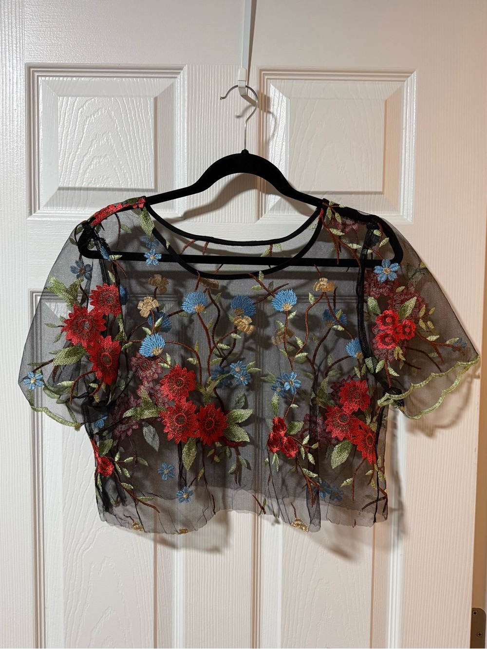 Black Sheer Floral Embroidered Crop Top - Red & Blue Flowers
